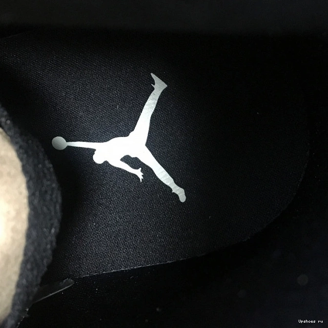 Fossil High Mushroom Premium AH7389-003 1 Air Jordan WMNS 1209